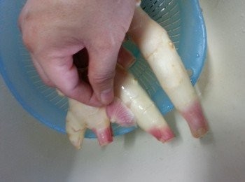 step1: 子薑不要買太多葉,太多葉會比較老身,將子薑洗淨,撕去多餘的葉部份