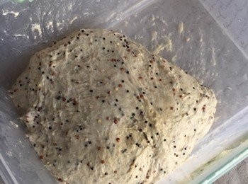 step2: 每半小時翻面1次，共4次，大約室溫發三小時成1倍大，低溫發12小時以上，今次發了20小時