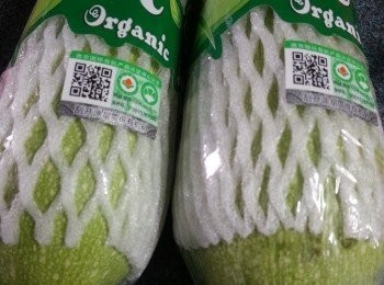 step9: 準備好有機翠玉瓜