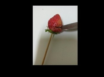 step2: 草莓下面用竹籤刺過，上面用刀子由上往下劃一刀，左右旋轉一直劃刀。