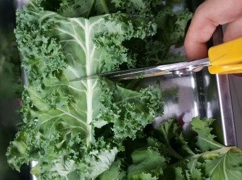 step2: 再用較剪剪開一段段