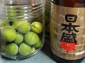 step6: 將青梅放入一個完全清洗乾淨，確保沒有水份及乾爽的玻璃器皿內，再倒入青酒（放入玻璃器皿不要超過7成滿，因為酒會膨脹產生氣體，第一個月每1個星期打開蓋散一散氣）