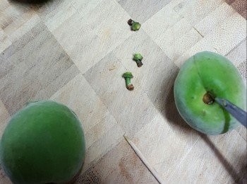 step4: 乾了的青梅用尖刀或牙籤挑去梅蒂（作用是令梅酒不會苦澀）