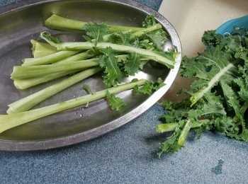 step1: 羽衣甘藍先剪去硬梗，菜葉清洗乾淨，抹乾水份