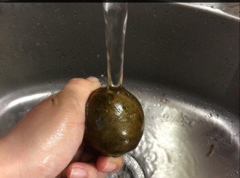 step2: 羅漢果刷洗乾淨