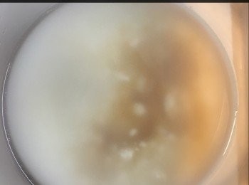 step2: 加入水同糖搞混。