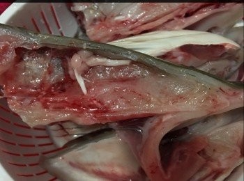 step2: 魚頭洗淨，可用糖，生粉，頭油各少許醃10分鐘