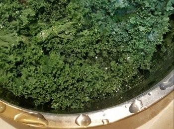 step1: 洗淨羽衣甘藍備用。