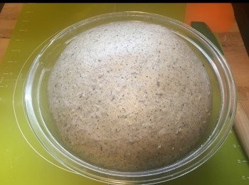 step4: 發酵大至兩倍。