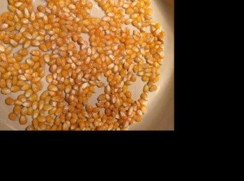 step1: 先將玉米粒和椰子油放進煲內中火煮