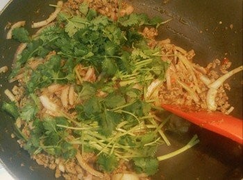 step4: 落紅洋蔥,芫荽,再同牛肉兜勻至紅洋蔥軟身,再加魚露快兜,如見無咩汁可加dd水