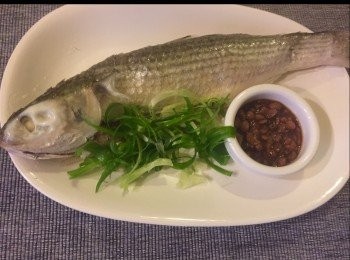 step8: 蒸好後冷却放入雪櫃一晩，上桌時放少許葱花伴碟，及配普寧豆醬食更鮮甜。