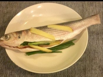 step4: 將烏頭魚放在蒸的盤子，並於魚身上鋪數片薑和葱，再將已切好了的薑和葱，鋪在魚的內臓內。