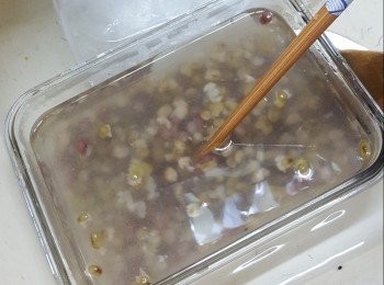 step5: 約10分鐘後，用竹籤或筷子拌一拌豆，作用是襯寒天粉即將凝固時將豆可以平均分散，不會只沉於底部，再放入雪櫃雪凍至凝固