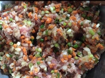 step2: 肉碎，紅蘿蔔，洋蔥，葱切粒調味
