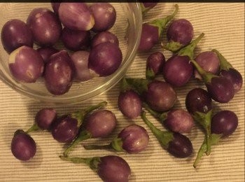 step3: 將車喱茄子和茄子洗淨備用。
小茄子像車喱茄子。