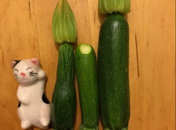 step1: 翠玉瓜切粒
蛋打發好 加水、瓜粒 拌勻
放蒸爐蒸約10分鐘
最後淋少少豉油調味