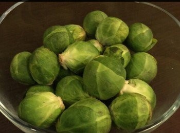 step2: 布鲁塞尔（小椰菜）Brussels
10粒。