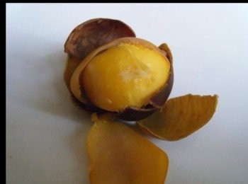 step3: 剝去硬殻層，軟殼層，至黃色果肉。