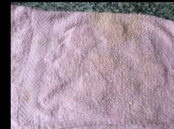 step12: 蓋上濕毛巾吸去餅坯多餘水份。