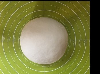 step6: 搓好，修圓，發酵大至兩倍。