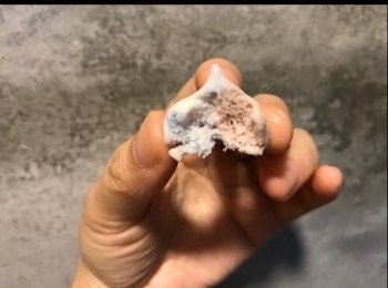 step9: 好鬆脆，入口即溶！