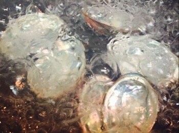 step1: 鮮鮑魚用牙刷刷淨起肉，去掉內臟，在肉上𠝹井字花但不要切斷。鮑魚殼用牙刷裏外都洗淨，用沸水川燙後備用。