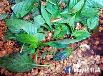step3: 最後加入羅勒葉及已切碎辣椒乾炒匀即成。