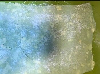 step15: 將粉團切成八個三角形。