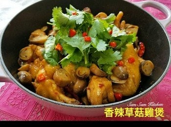 step9: 放上芫荽及指天椒粒... 大功告成!