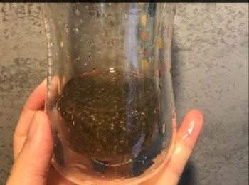 step1: 先將奇亞籽浸食水，浸一晚等佢發大！