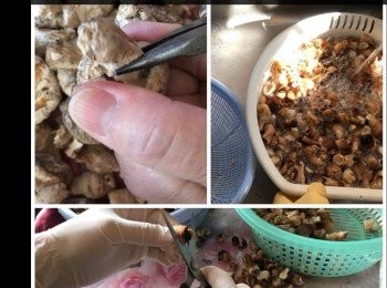 step1: 平時取冬菇蒂留用。
浸水半日後清洗乾淨。
剪去硬的木質部份。
