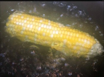 step1: 粟米去衣放入沸水煮約10分鐘至熟。撈起瀝乾放涼，粟米水留用。