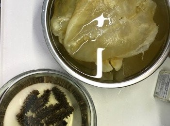 step1: 材料洗淨，用清水浸12小時以上，12小時後會輕微脹大，然後可以開始第一次焗水

海參：中火將水煮滾，轉細火，加入2片薑，放入海參煮10分鐘，熄火，蓋上，焗12小時以上或過夜

花膠：水煮至微滾，熄火，加入2片薑片，放入花膠，蓋好，焗12小時以上或過夜