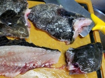 step3: 游水魚請魚檔代為起肉,回來洗淨後抹乾水份(今次我是用沙巴龍躉魚,越大條越好)
