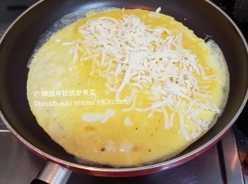 step4: 雞蛋液夠煎兩份<span class="group_2">芝士奄列</span>，把5隻蛋與適量的鹽和胡椒粉拌勻。

下少許油，倒入一半雞蛋液，用中火煎蛋約半分鐘後在蛋的一邊加入適量芝士碎，
