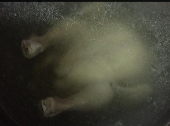 step2: 首先將雞洗淨，用手搓鹽於雞上醮15分鐘。然後把雞皮上的鹽冲掉。
 
將鹽、薑、蔥，香茅和雞放入一個大鍋內，加入暖水後，開大火煮至滾。雞浸在熱水湯中片刻後取出，再浸落冰水 。然後上上落落浸上兩次，直至隻雞熟為止，這樣做法能令雞肉嫰滑。