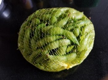 step2: 枝豆(毛豆)