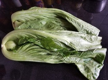step1: 芥菜
