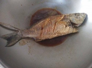 step2: 先熱鍋， 倒入橄欖油【得意的一天】， 放入蒜頭、薑絲爆香，約略1分鐘，等香氣出來，轉中小火，將黃雞魚【澎湖野生水產】下鍋煎，蓋鍋蓋，煎約7-10分鐘後，轉中小火續煎，雙面都煎至呈金黃色，