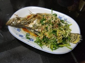step5: 做法 :

將桂花魚清洗後 , 隔乾水份 , 在碟上放少少薑絲 , 再將魚放上 , 這樣在倒魚水時 , 魚便不會太易滑出碟 .

預備蒸爐 , 水滾起計放入蒸 6 分鐘 , 取出倒去魚水 , 放上蔥花 , 芫茜 , 燒起滾油 , 爆香蒜頭 , 乾蔥淋上面 , 再淋上少少蒸魚豉油或生抽 , 完成 .
