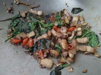 step3: 熱鍋後，放入1匙芝麻油【福壽】，接著放入薑和蒜頭爆香， 約略1分鐘，等薑香氣出來，開中小火，依序放入三層肉【澎湖豬肉】、辣椒炒、加入少許米酒、醬油、塩、糖，並炒勻，約略7-10分鐘，