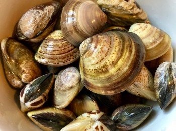 step1: 買回來的蜆先用鹽水及米酒吐沙，備用。蒜頭切碎、腰果烘香後搗碎。