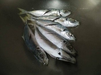 step2: 倒入少許橄欖油【得意的一天】，以中火熱鍋後，放入竹莢魚【澎湖野生水產】，蓋鍋蓋，煎約10分鐘後，轉中小火續煎，雙面煎至呈金黃色，