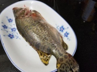 step1: 桂花魚