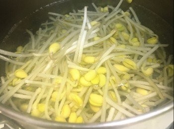 step7: 燒紅鍋，下油，中大火炒香蒜頭、指天椒及乾辣椒，加入桂林辣椒醬及辣豆瓣醬炒約5分鐘；灑上料理酒，倒入青雞湯煮滾，加入糖及蠔油調至合適味道；放入紅薯粉煮約2分鐘，加入大豆芽及魚腩中大火煮滾，轉小火加蓋煮8分鐘，熄火，不要打開蓋焗5分鐘，至魚熟透(如魚未熟可開大火煮1-2分鐘直至魚熟透)分鐘至魚煮透，淋上花椒油，即成！