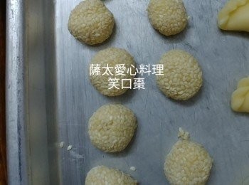 step2: 每粒約手指頭大小即可,用水擦濕，再滚上芝麻,搓圓,令芝麻粘實。