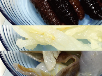 step7: 現在比較幸福, 都有泡發過的材料在賣。
買回來後清洗乾淨。海參需剖開, 清洗去內臟。
用刀把魚皮口感不好的地方削去。並切成適口大小。
汆燙時, 加入蔥、薑, 再分別汆燙<span class="group_1">食材</span>。不需太久。