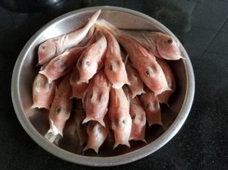 step7: 花角魚