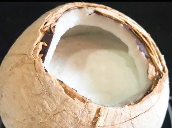 step3: 水滾後，倒椰奶蛋漿入椰皇殻，蓋上保鮮紙或錫紙。